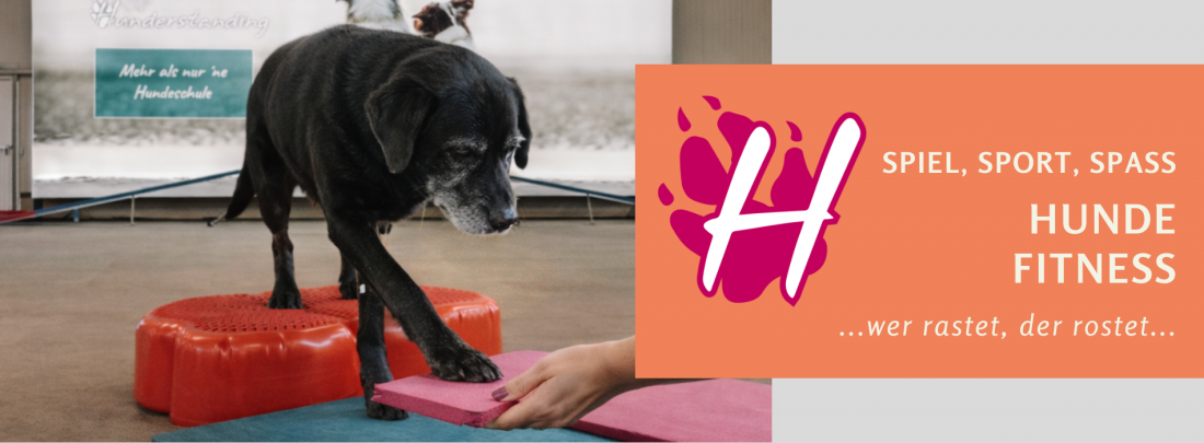Hunde - Fitness