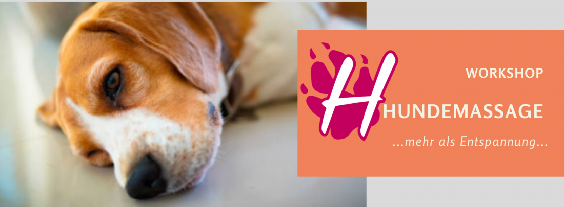 Hundemassage 