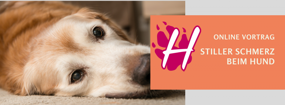 Online-Vortrag: der Stille Schmerz beim Hund